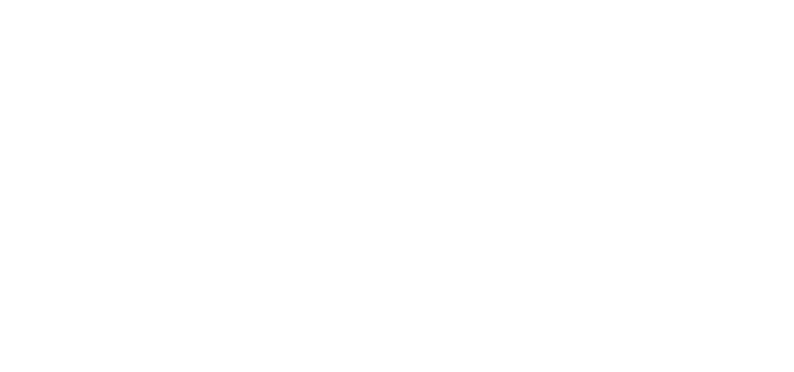 Berna Consulting